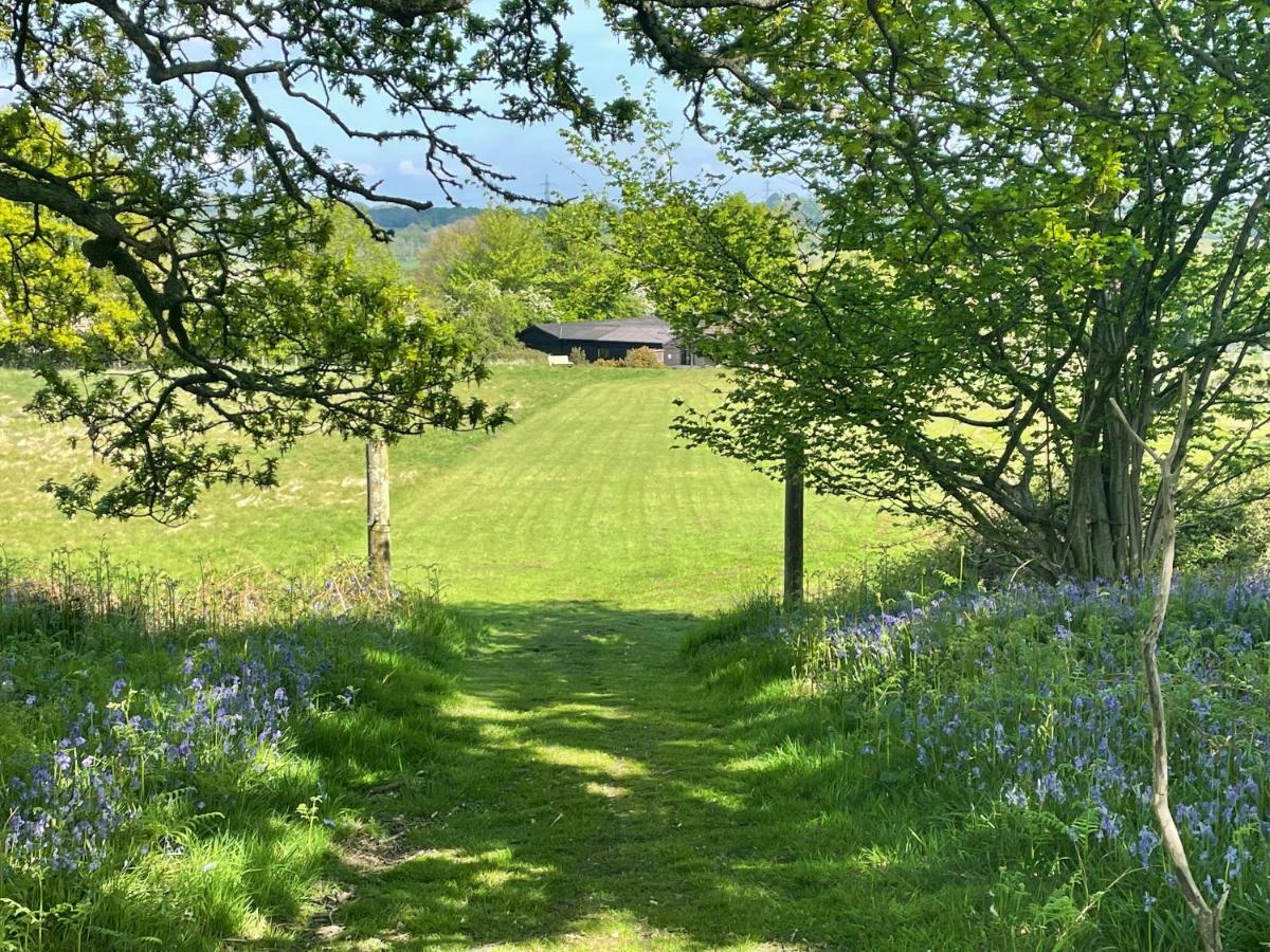 Deer lodge at Chapel Lodges Wimborne Minster Buitenkant foto