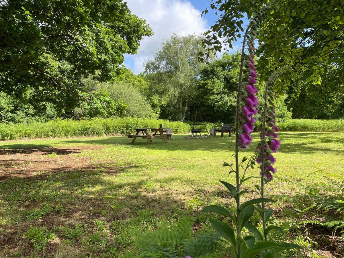 Deer lodge at Chapel Lodges Wimborne Minster Buitenkant foto