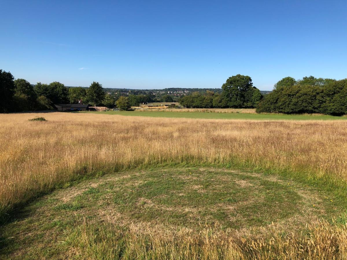 Deer lodge at Chapel Lodges Wimborne Minster Buitenkant foto