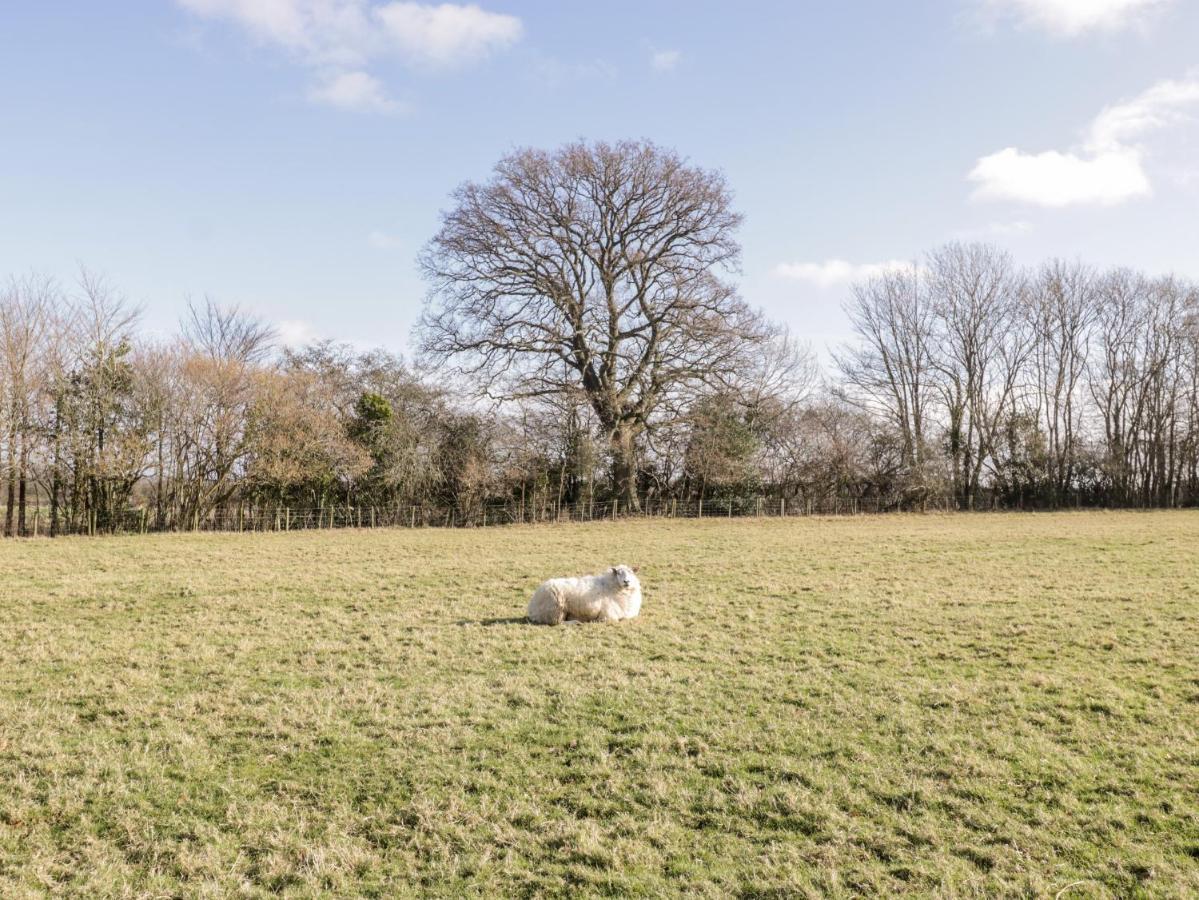 Deer lodge at Chapel Lodges Wimborne Minster Buitenkant foto