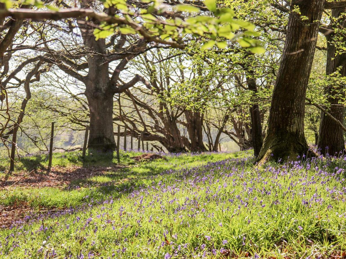 Deer lodge at Chapel Lodges Wimborne Minster Buitenkant foto